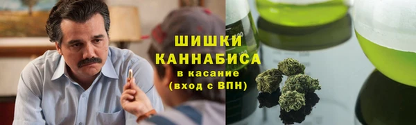 гидропоника Няндома