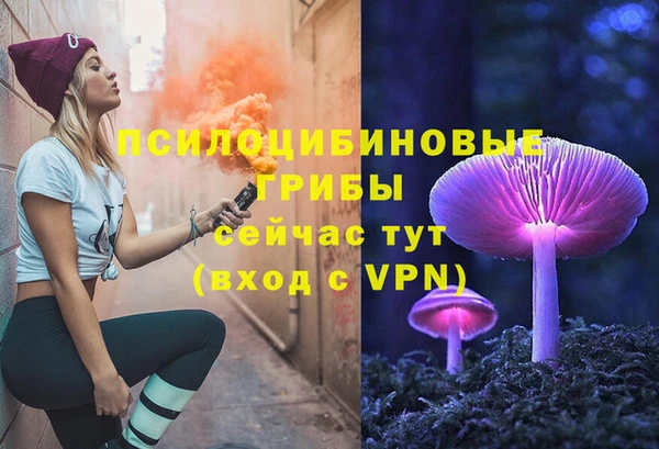 шишки Нязепетровск