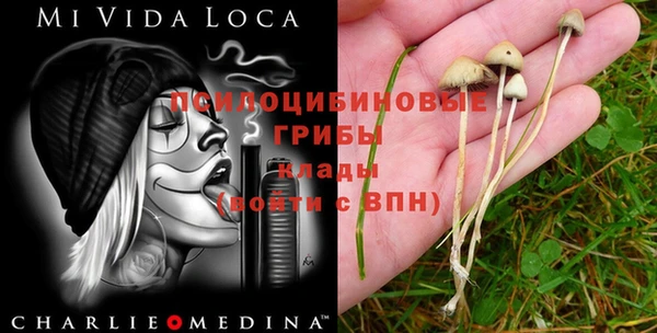 гидропоника Осташков