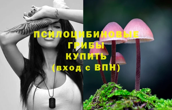 шишки Нязепетровск