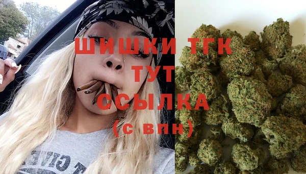 гидропоника Няндома