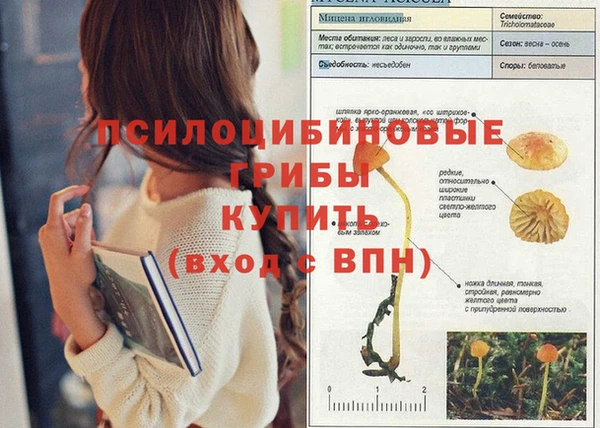 гидропоника Няндома