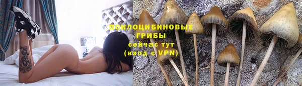 шишки Нязепетровск