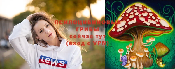 ECSTASY Остров